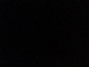 Meet your Posher, Natasha